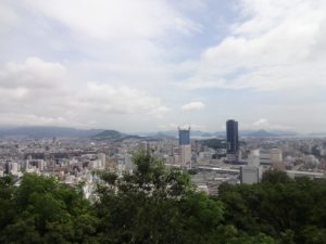 DSC05547