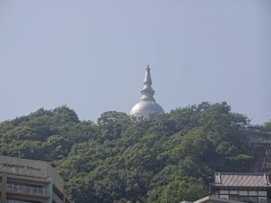 DSC05849