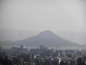 DSC05859 (1)